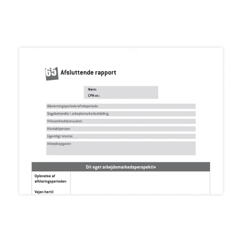 Afsluttende rapport