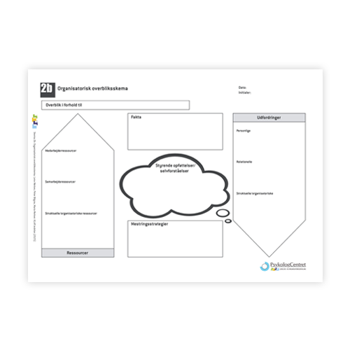 Organisatorisk overbliksskema